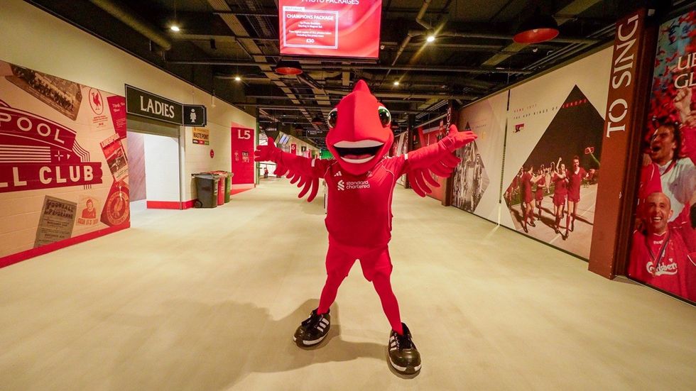Red bird mascot posing in a decorated stadium hallway with arms outstretched.