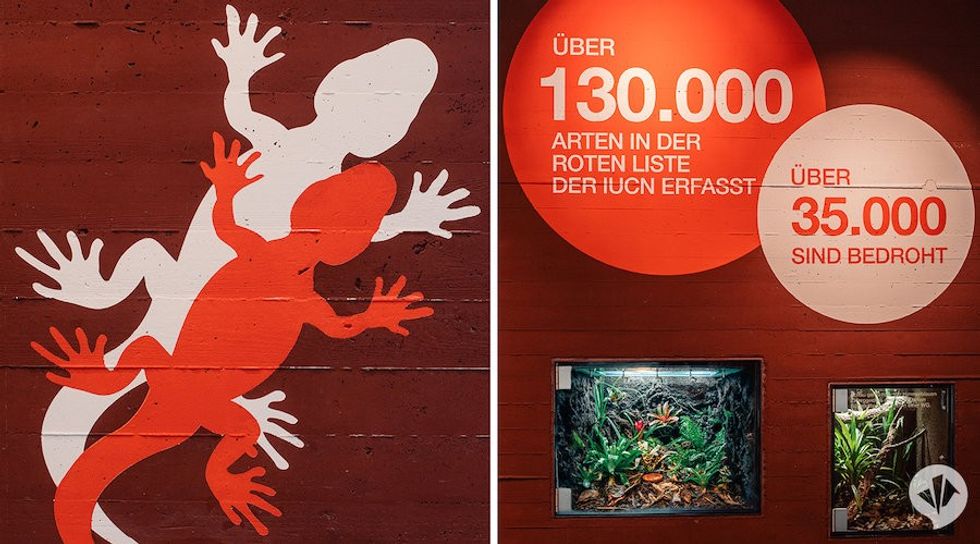 Red List Centre dan pearlman