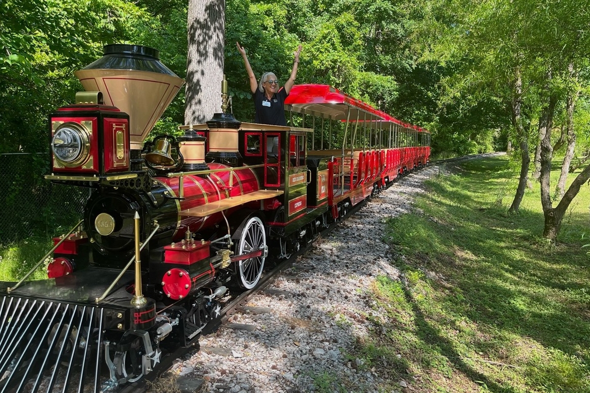 Red mini train on a forest track with person joyfully standing in the cab.