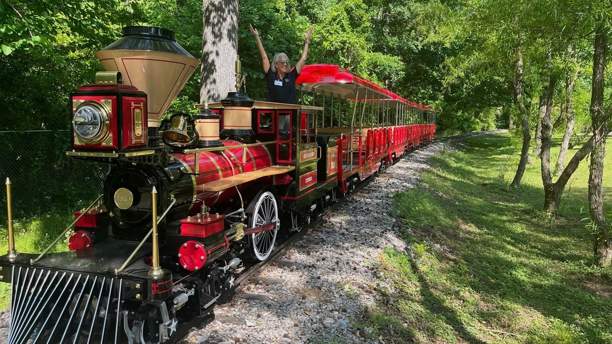 Red mini train on a forest track with person joyfully standing in the cab.