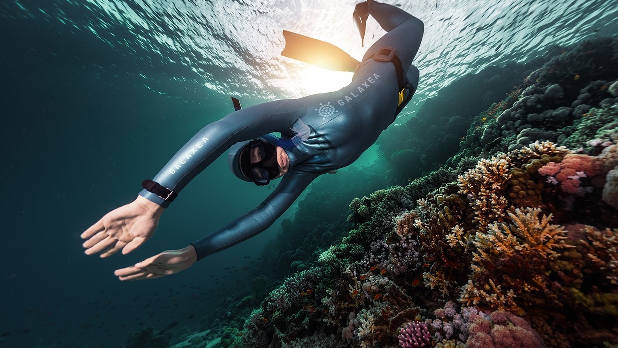 red sea global diving