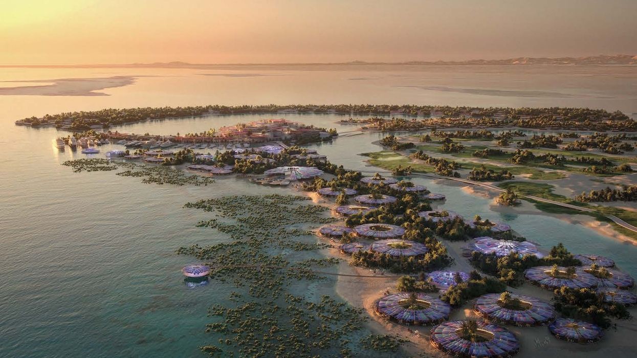 red sea project coral bloom
