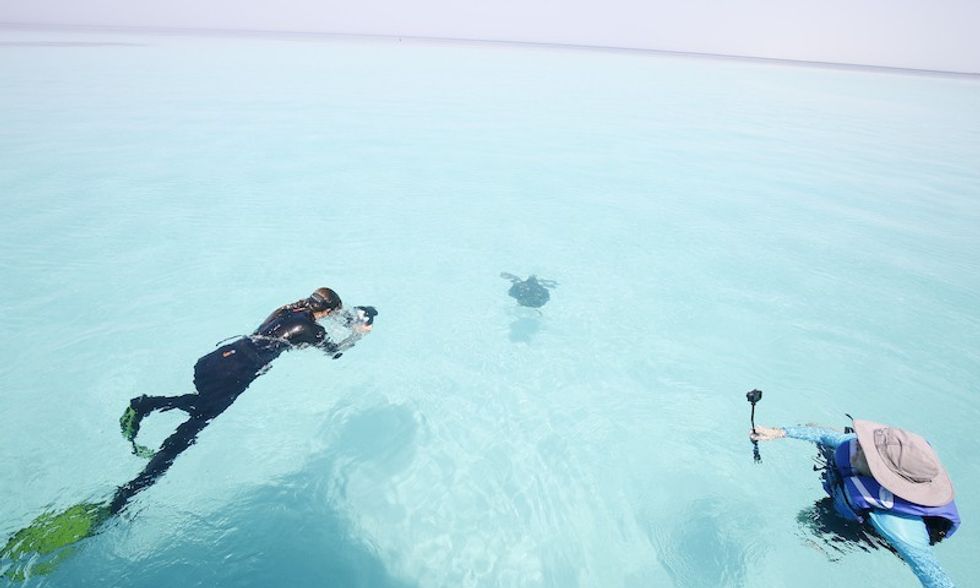 red sea project saudi arabia