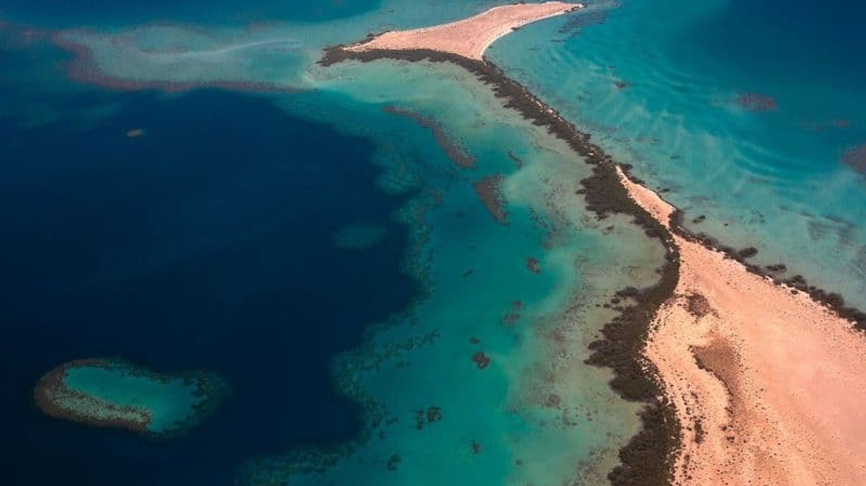 red sea project saudi