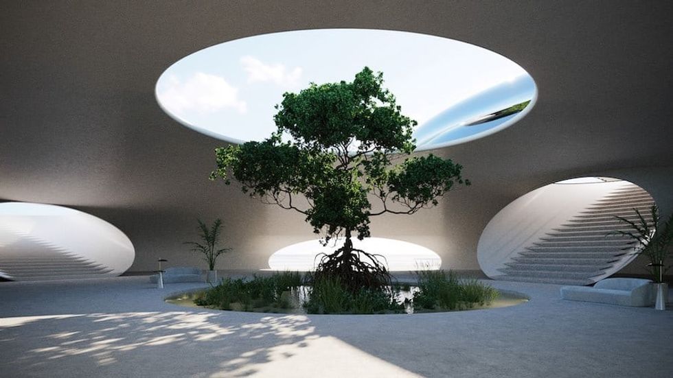 Red Sea Project tree