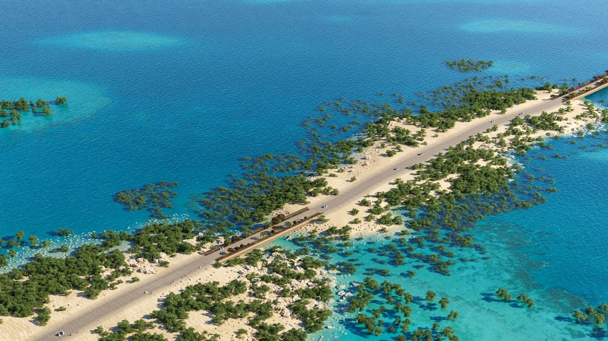 red sea saudi