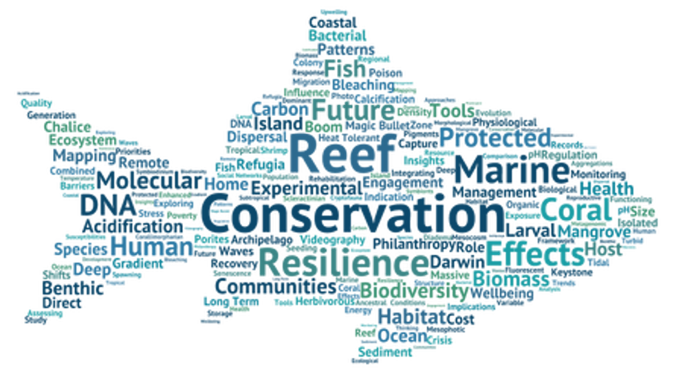 reef conservation logo