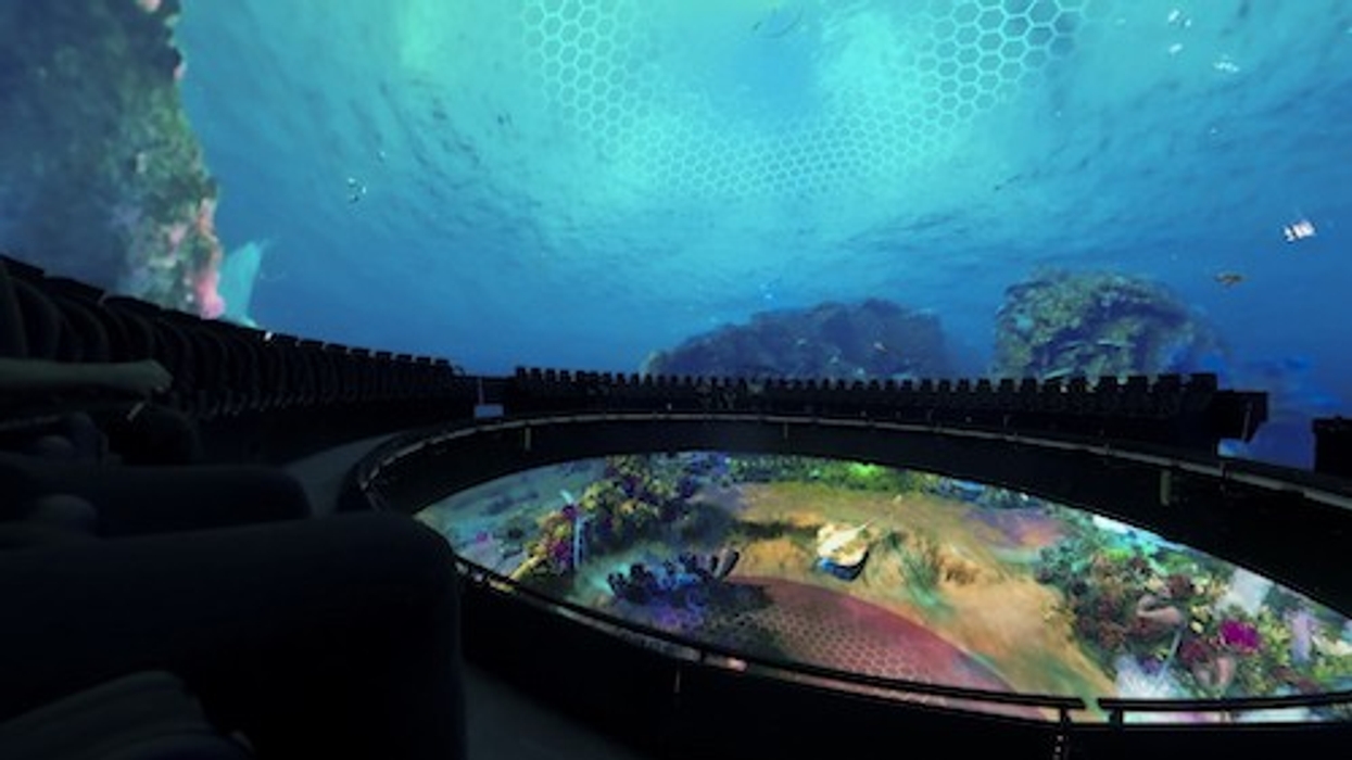 Reef scene