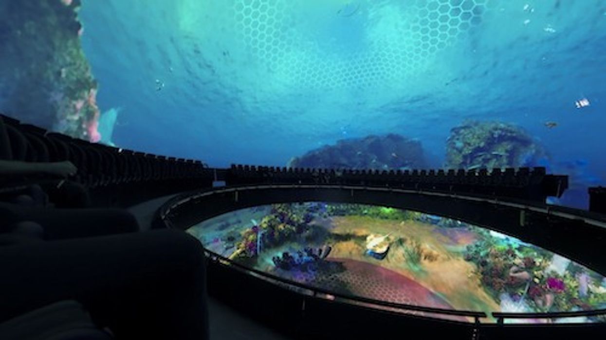 Reef scene