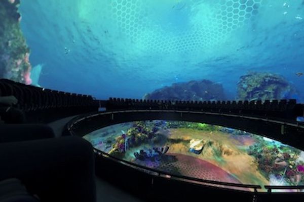 Reef scene