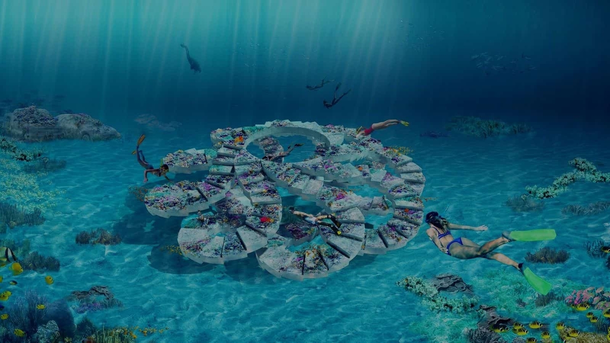 reefline-miami-beach-underwater-museum