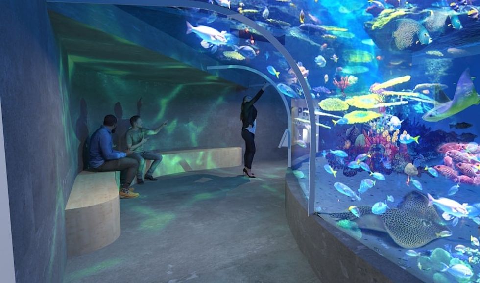reefLIVE aquarium concept underwater tunnel