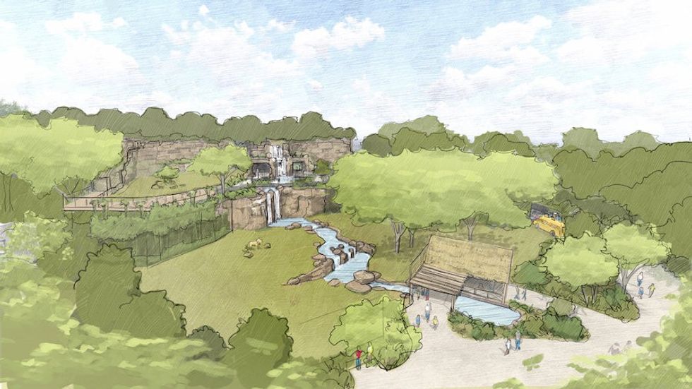 Rendering Lion habitat Fort Worth Zoo