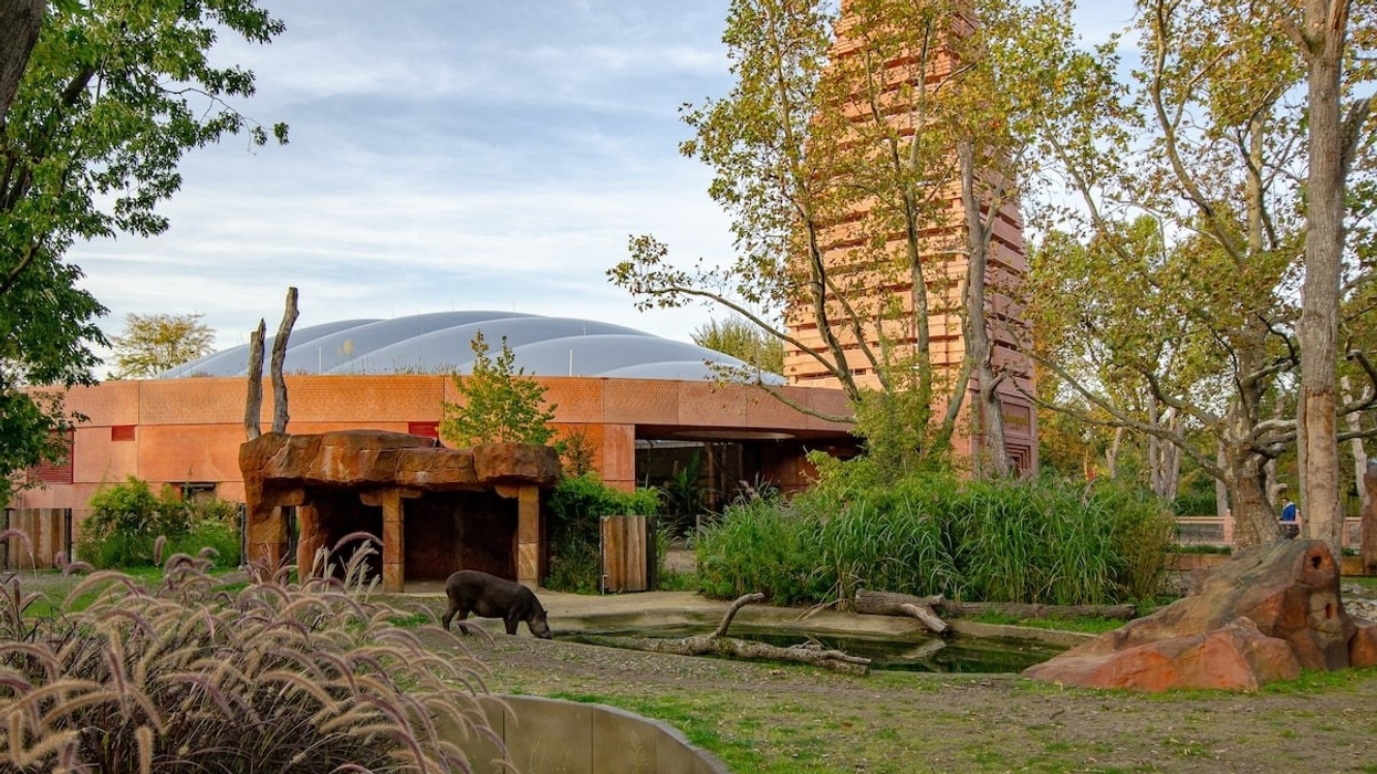rhino pagoda Berlin zoo