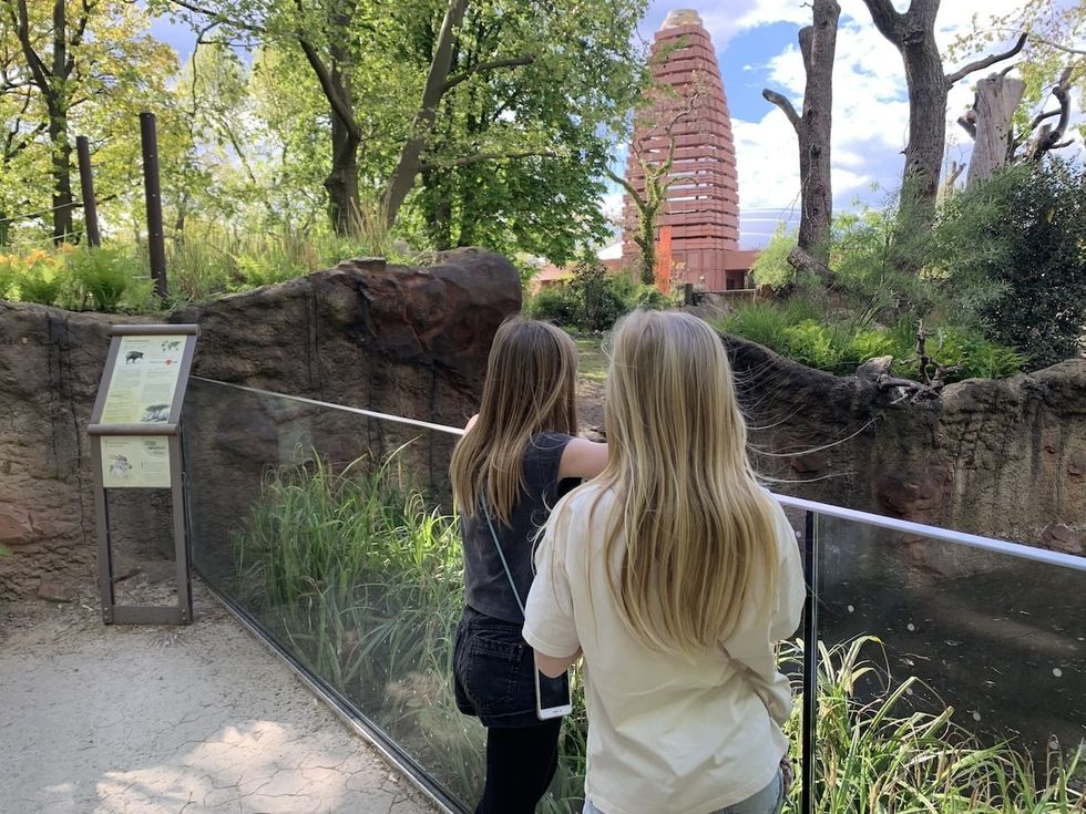 rhino pagoda Berlin zoo
