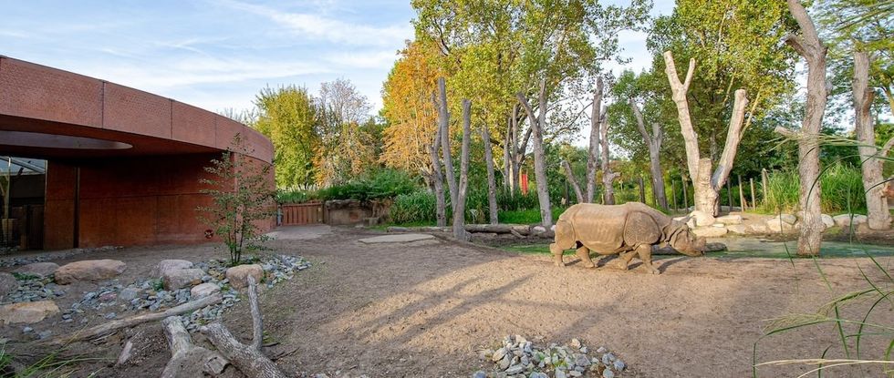 rhino pagoda Berlin zoo