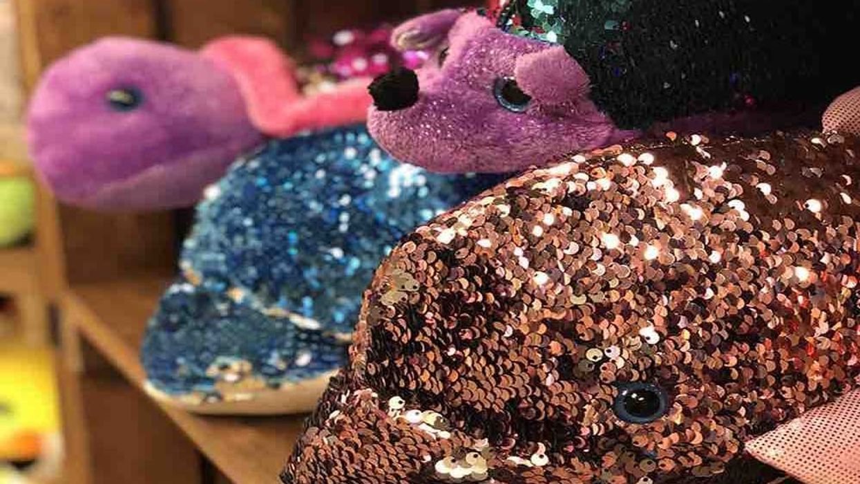 Rhode Island Novelty Sequinimals