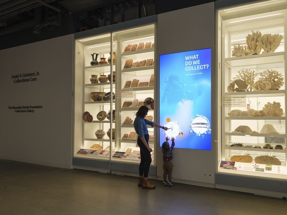 Richard Gilder Center for Science, Education, and Innovation