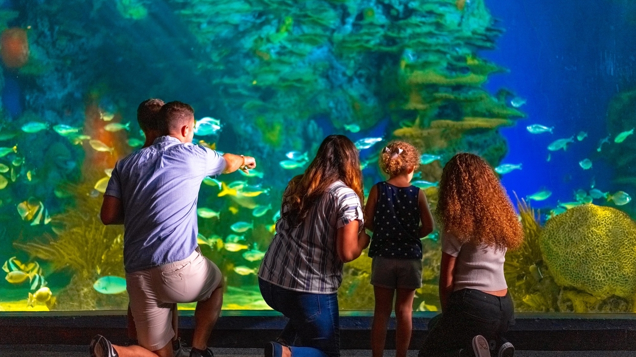 ripley aquarium