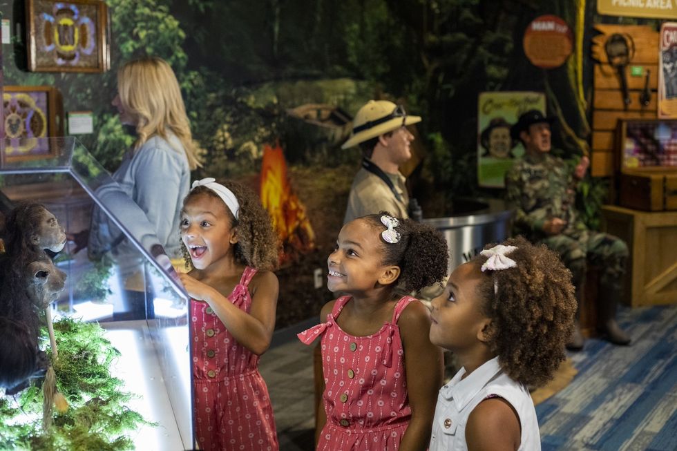 ripley's believe it or not