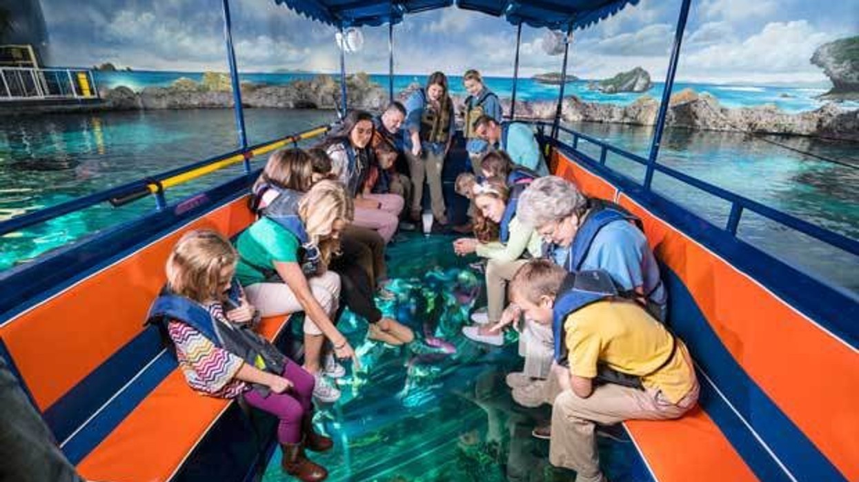 ripleys aquarium of the smokies launches glass bottom boat adventure