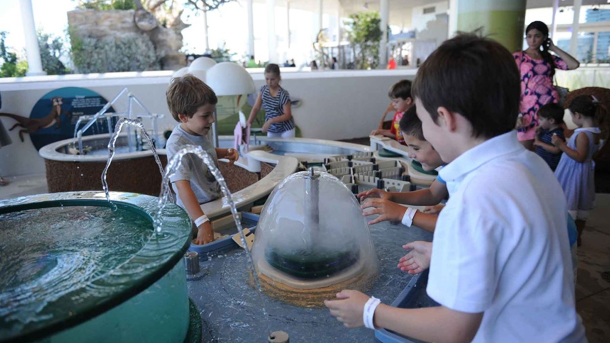 river of grass exhibition Frost Science