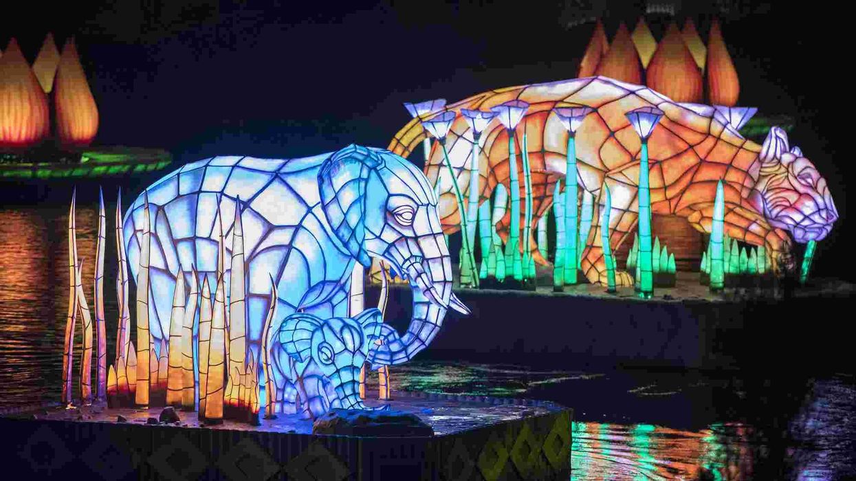 Rivers of Light Nighttime Spectacular Opens Friday at Disney's Animal Kingdom