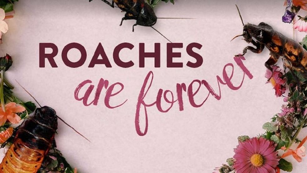 roaches are forever Valentine's Day 2017