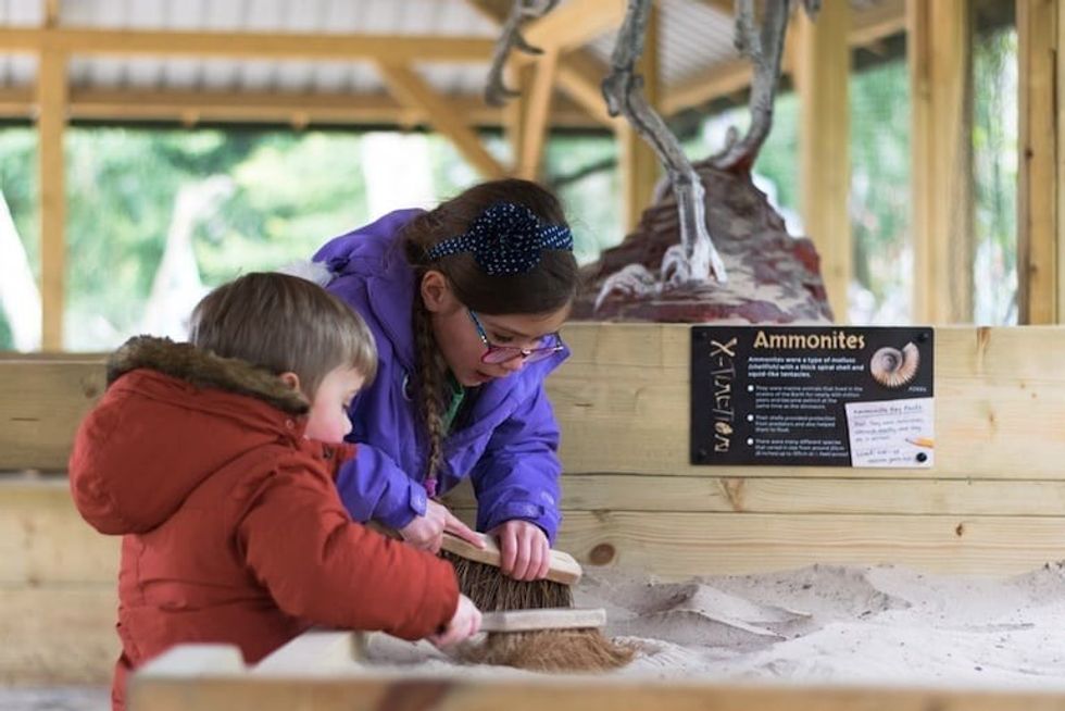 ROARR dinosaur adventure fossil dig