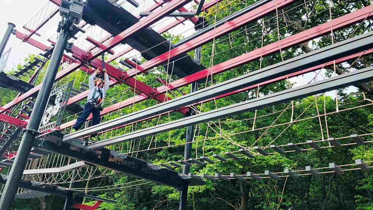 roarr! dinosaur adventure high ropes course innovative leisure