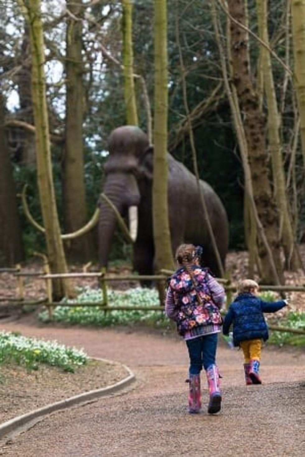 ROARR dinosaur adventure mammoth