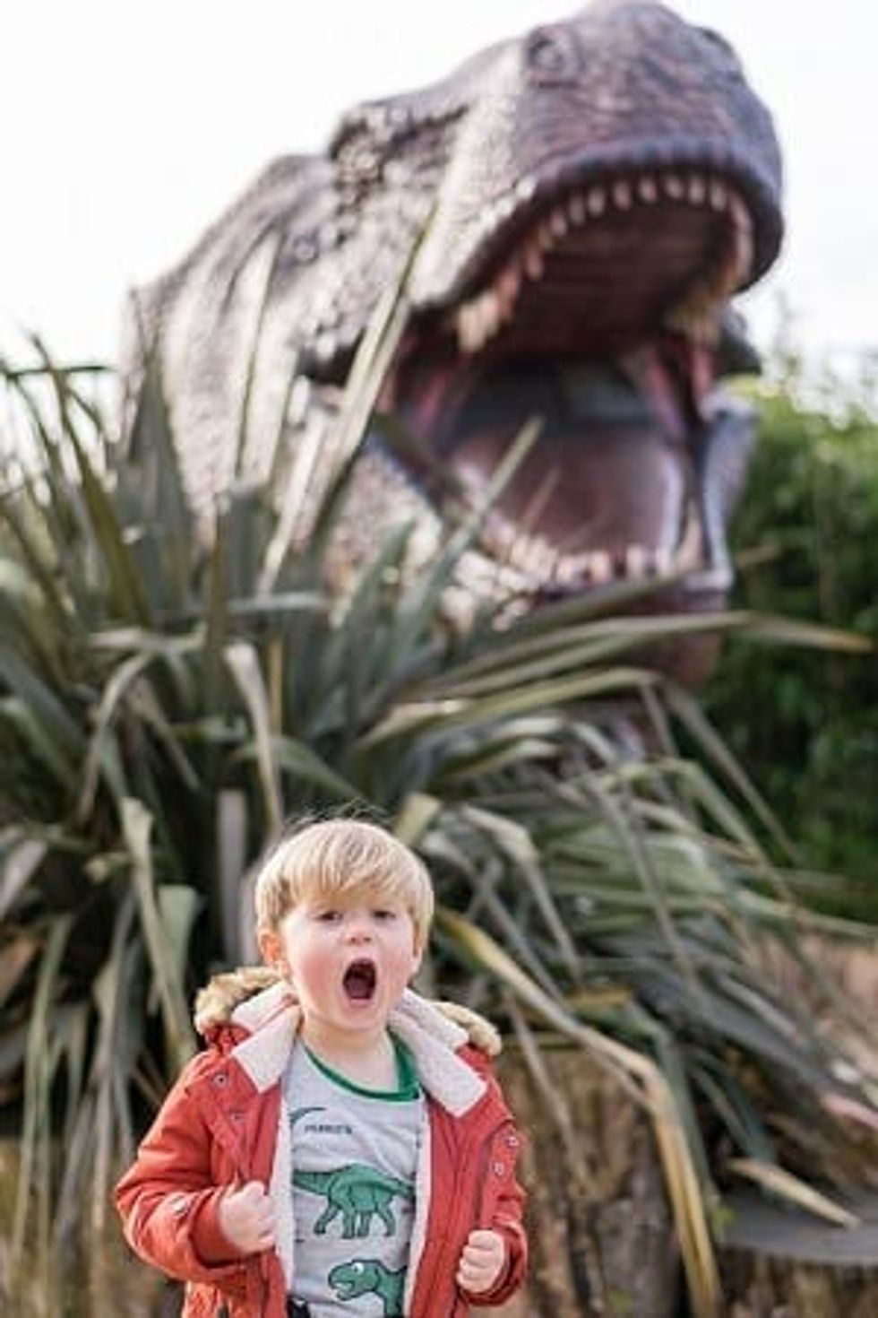 ROARR dinosaur adventure young boy and T-Rex