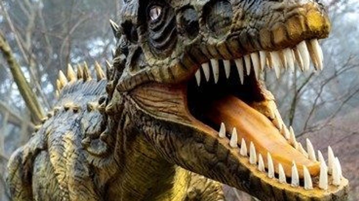 roarr dinosaur adventure