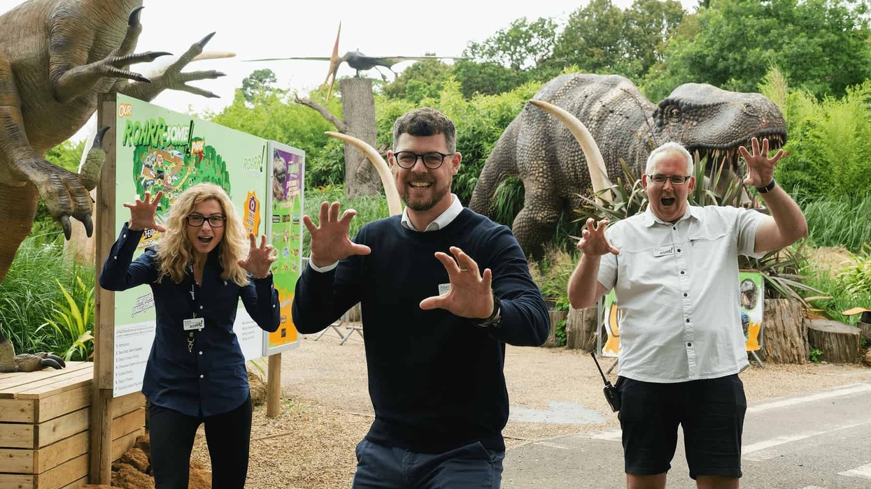roarr dinosaur adventure