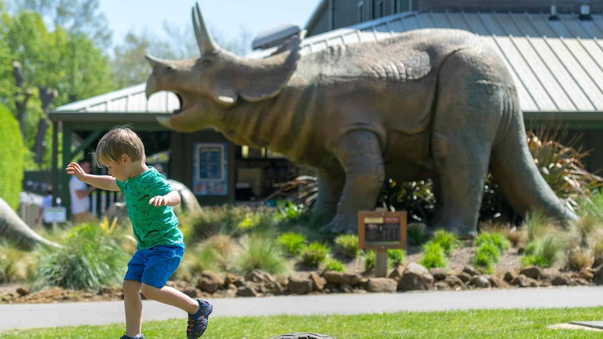 roarr dinosaur adventure
