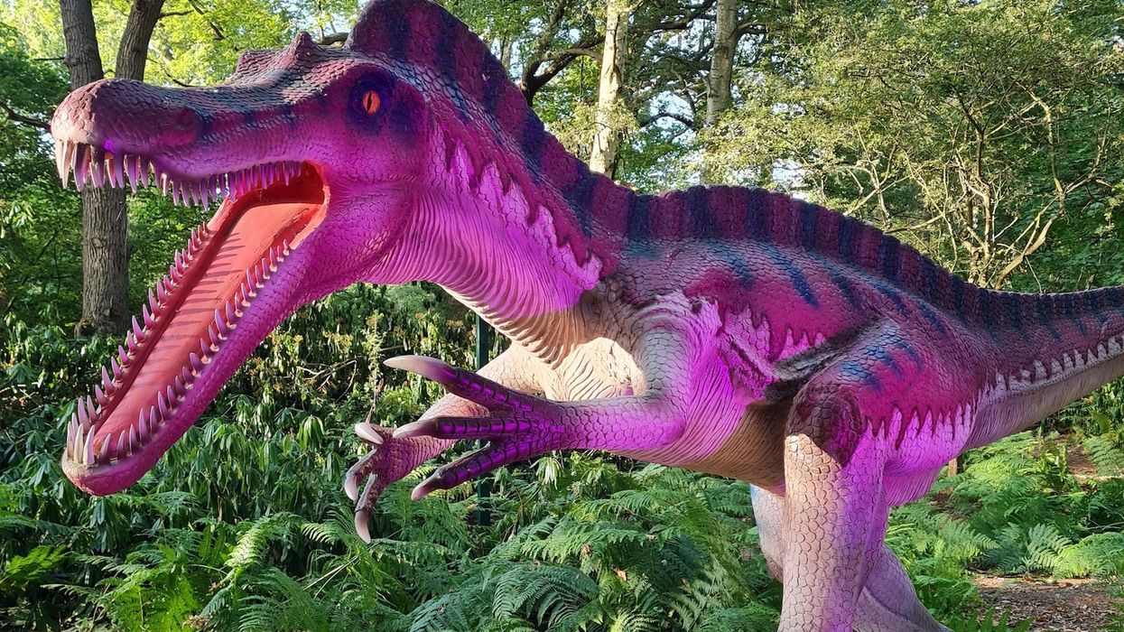 roarr! dinosaur adventure