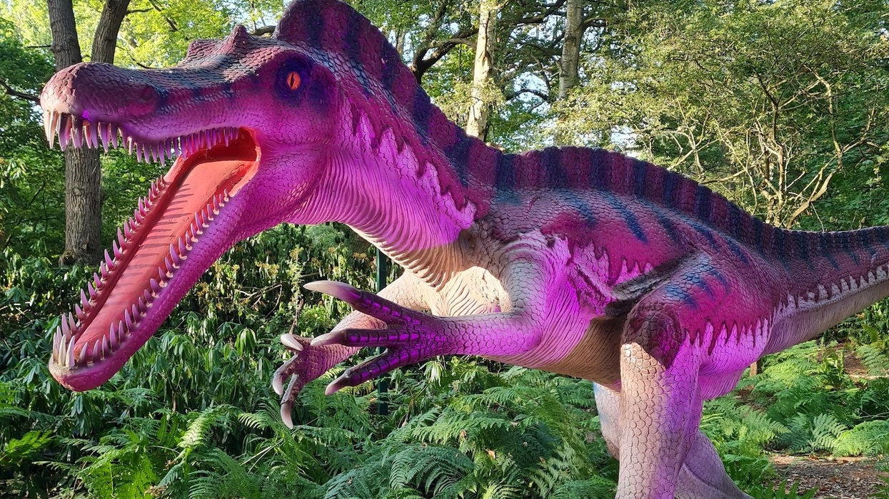 roarr! dinosaur adventure
