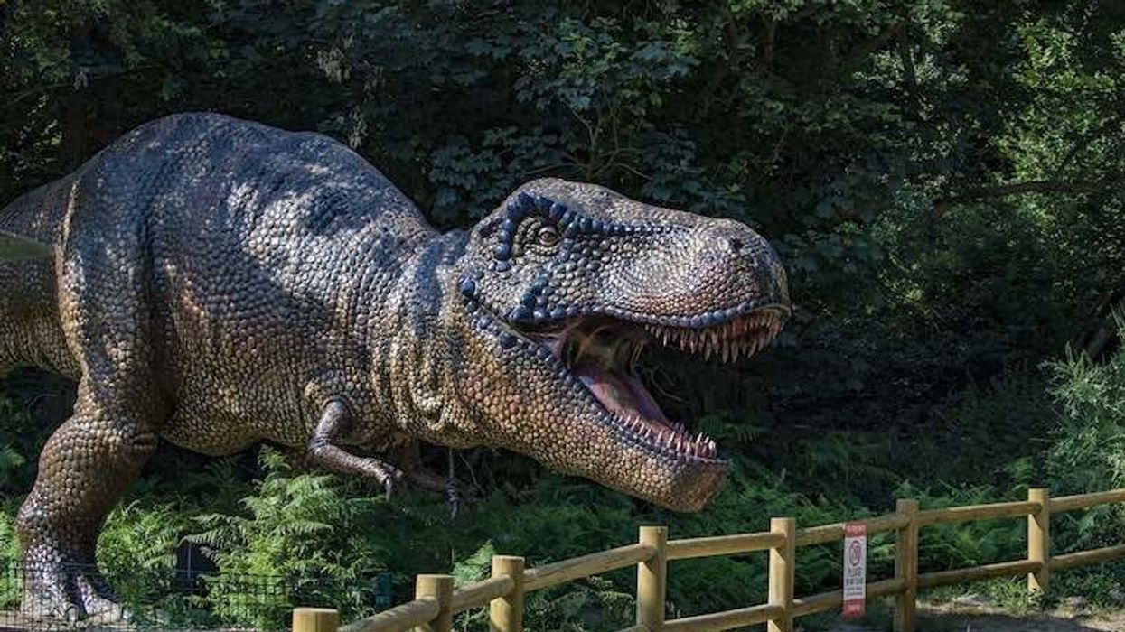 roarr dinosaur