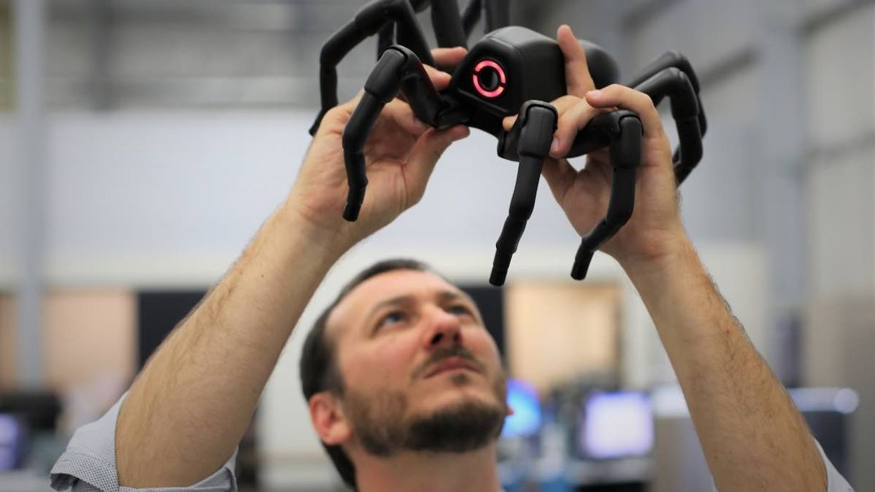 Rob Gosnell and Spider Animax Designs