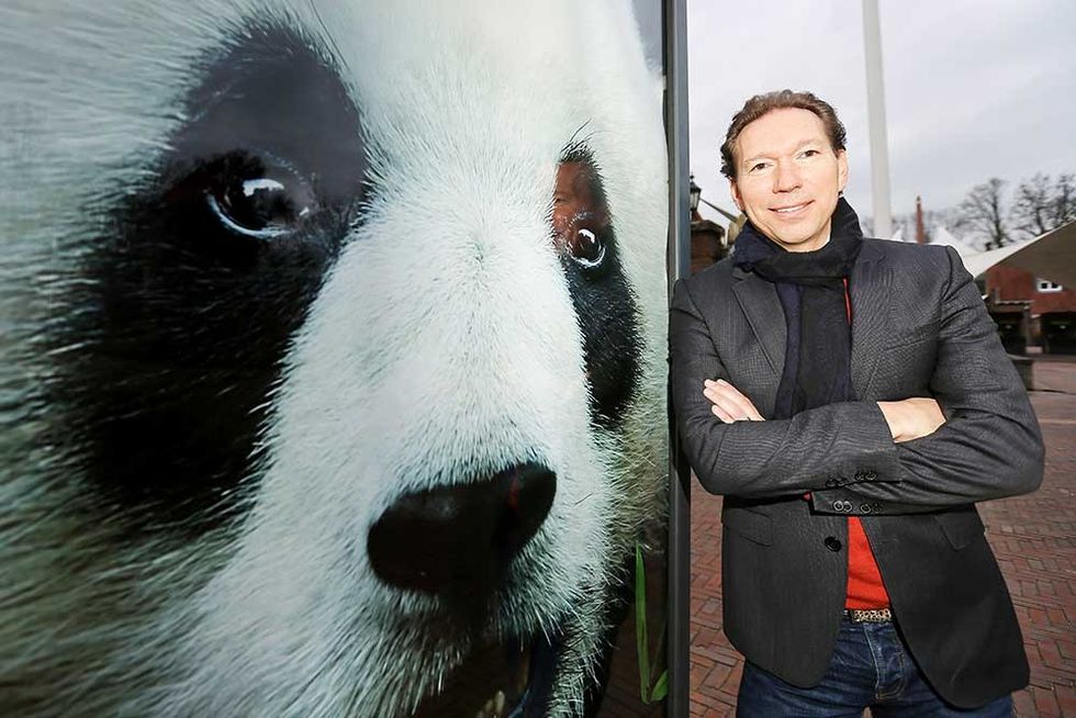 robin de lange pandasia Ouwehands Zoo giant pandas