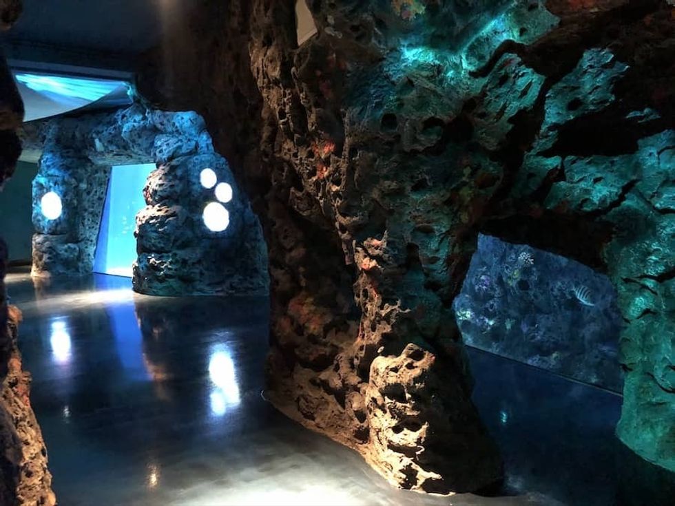 Rock work mississippi aquarium