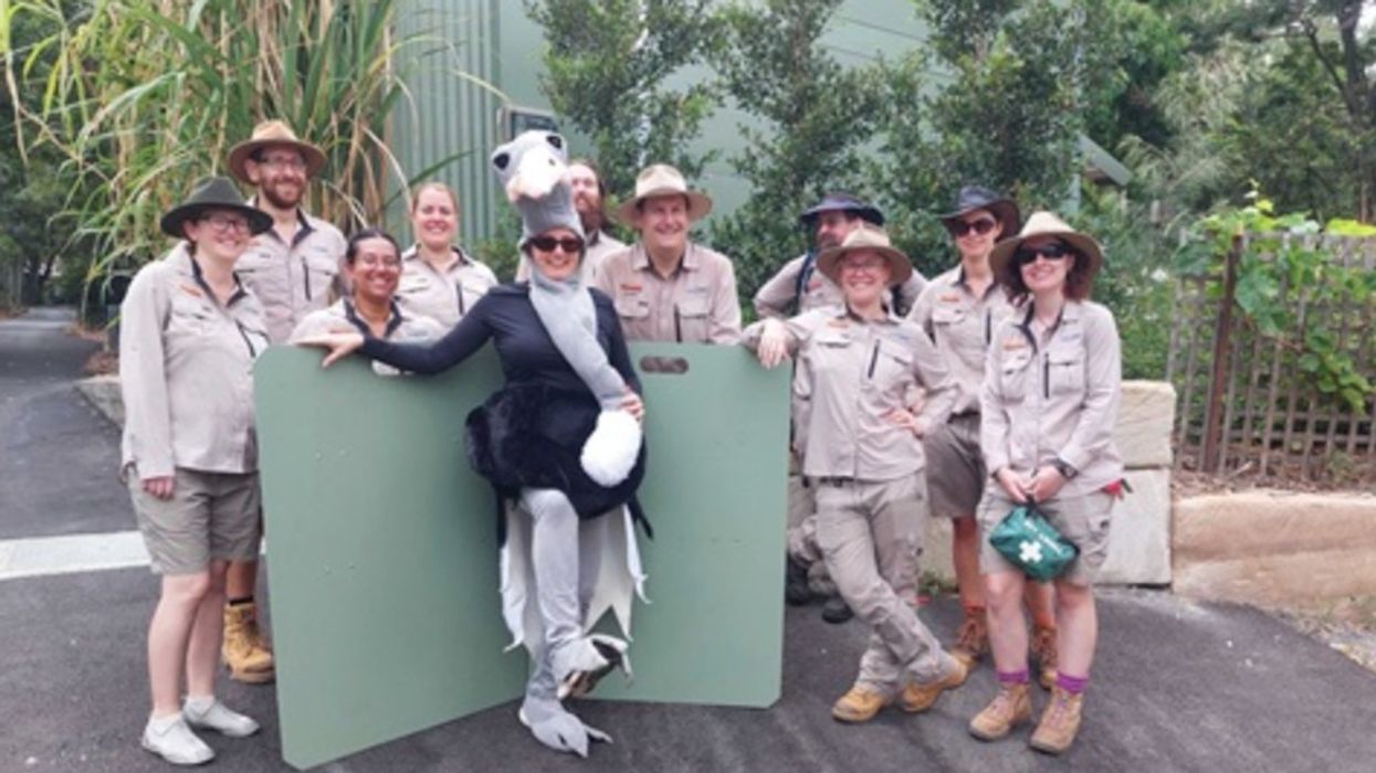 rockhampton zoo escape drill