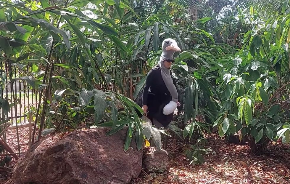 rockhampton zoo escape drill
