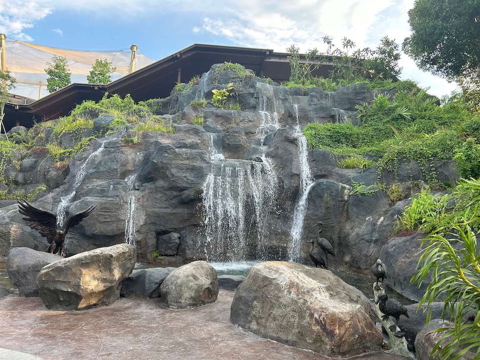 rockwork and fountain mandai bird paradise
