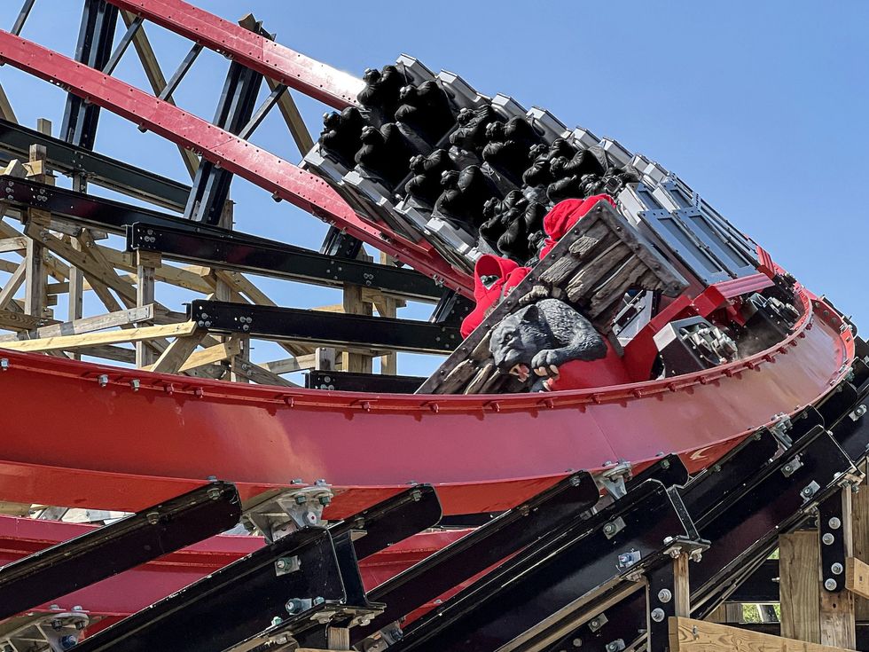 Roller coaster with bear-themed cars on a red track under a clear blue sky at Hersheypark