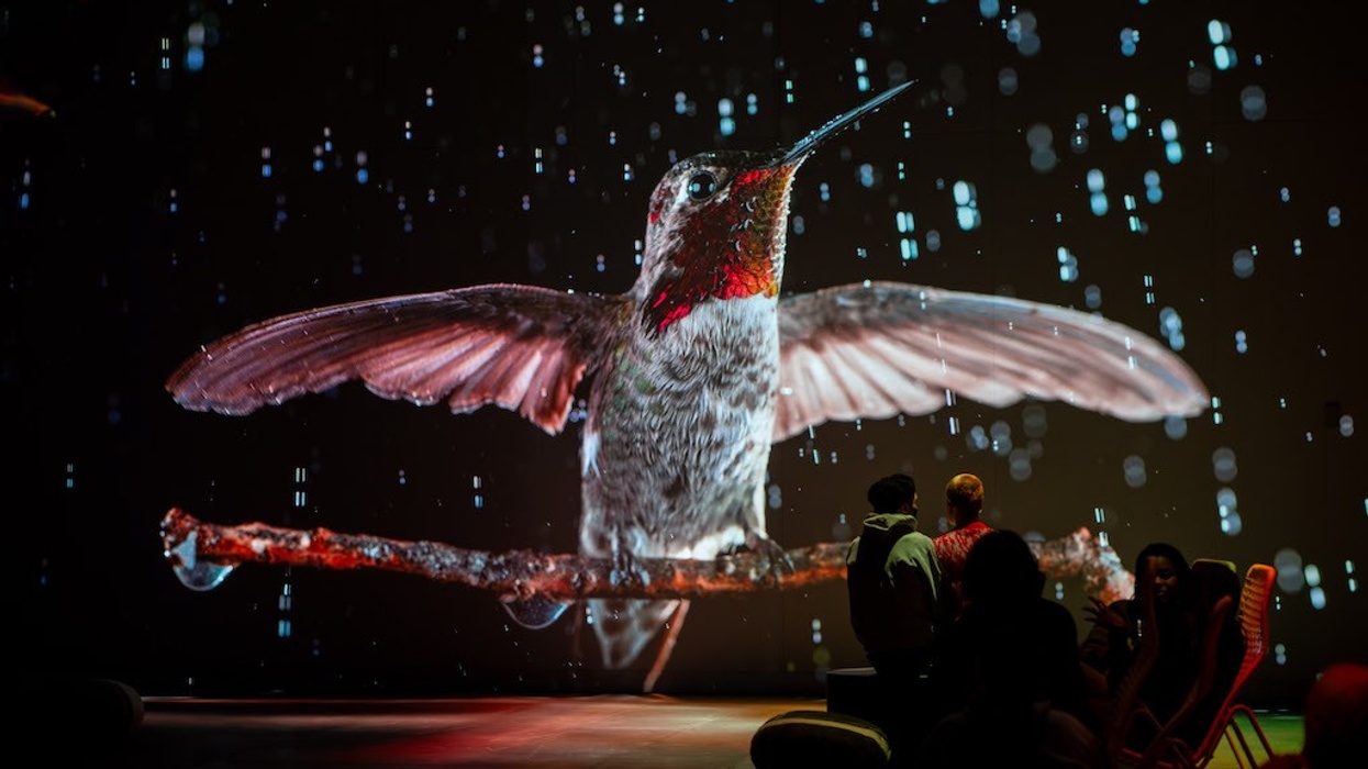 Root for Nature at Oasis Immersion