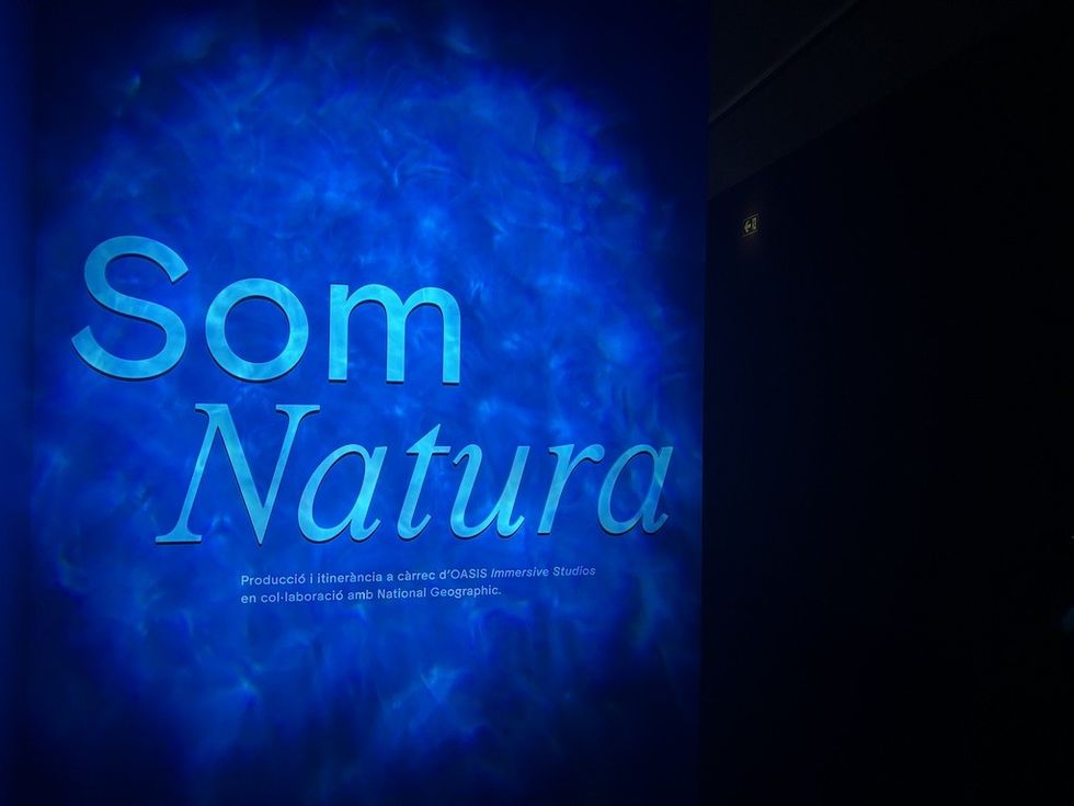 Root for Nature Barcelona