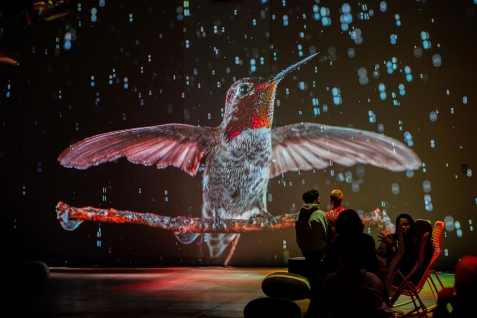 Root for Nature innovation awards 2024