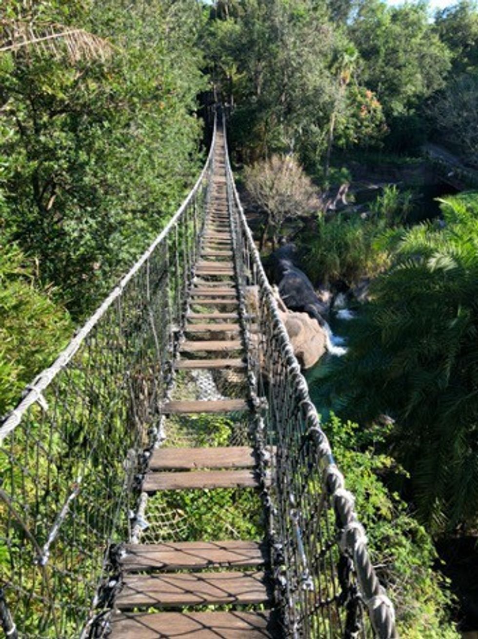 Rope Walk wild africa trek disneyworld