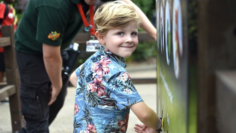 ROTB Animated Movie Experience